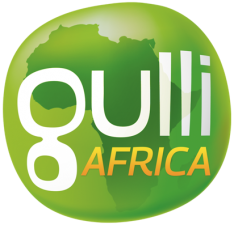 logo gulli africa