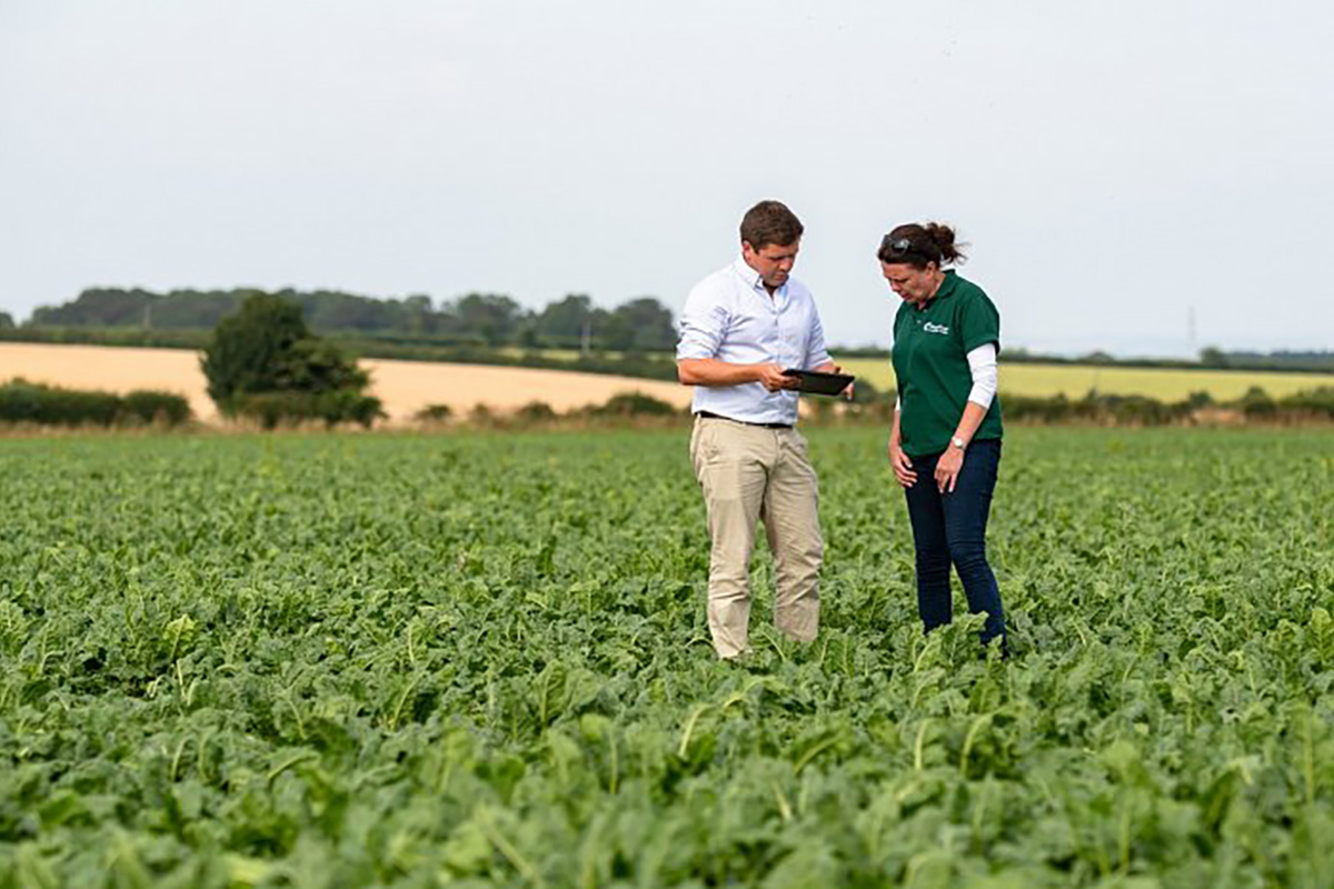 Improving digital connectivity in rural areas could unlock economic growth for UK manufacturing - Vimarsana News